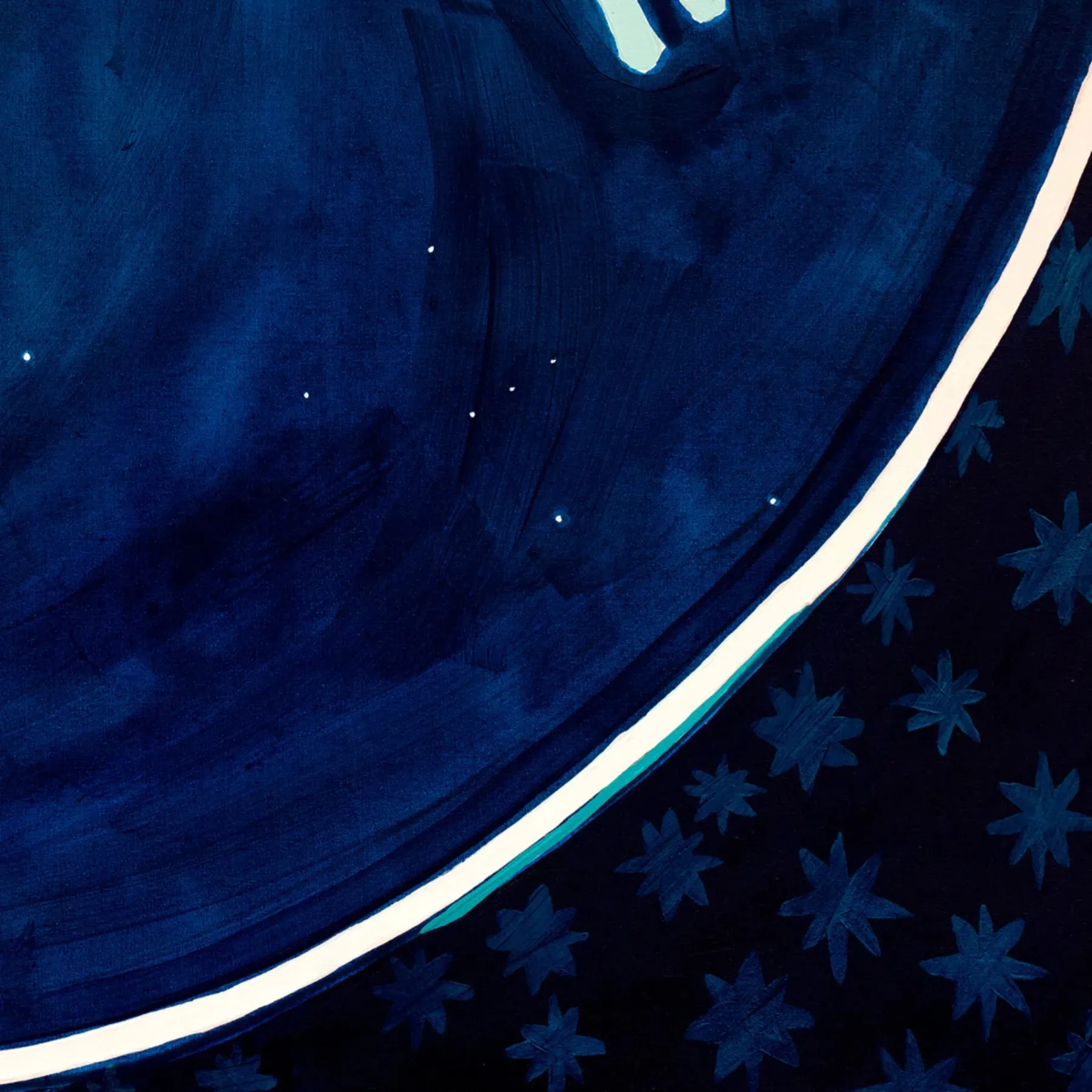 Star Swims Canvas Print 45cm x 55cm Oak Frame