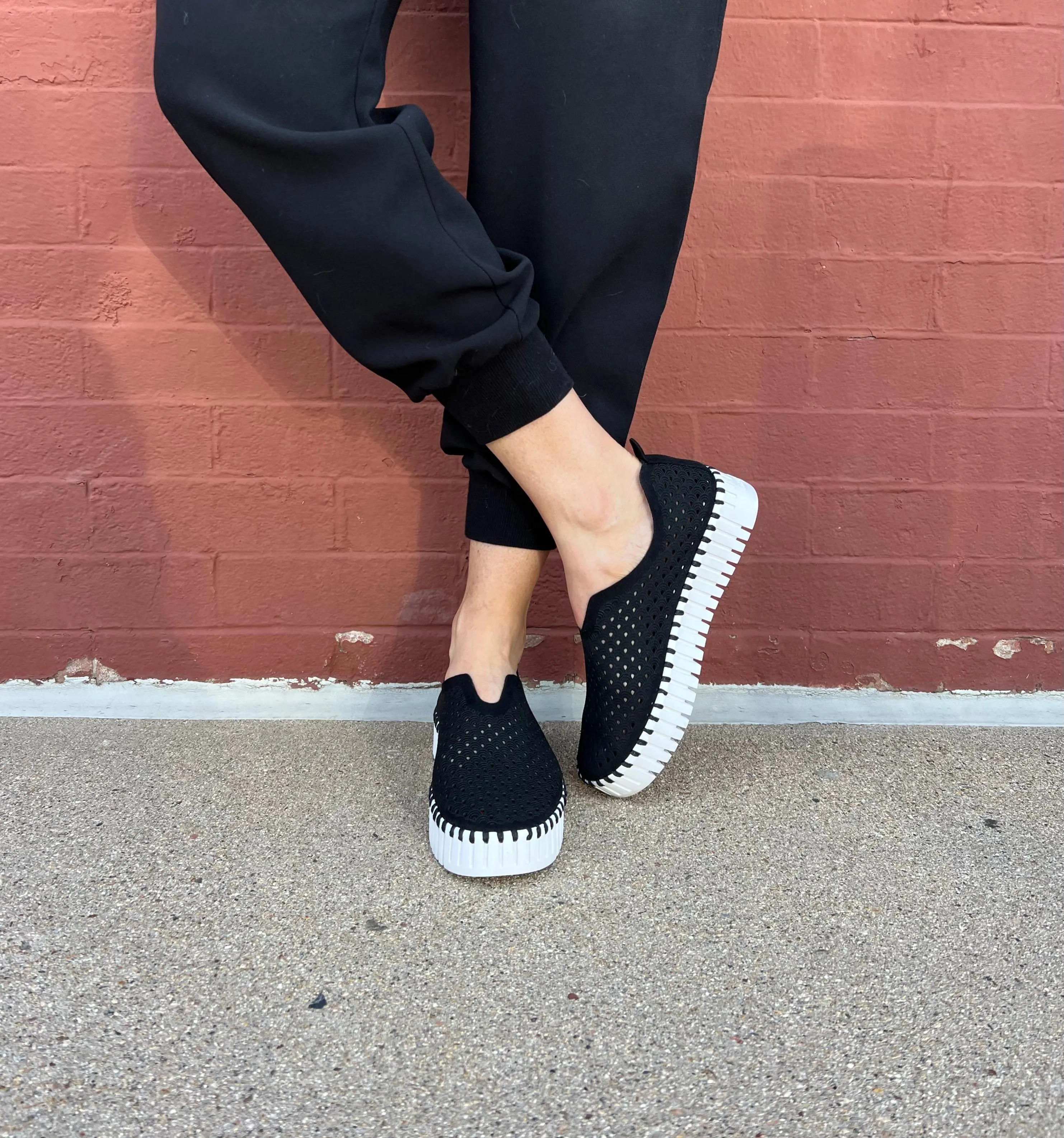 Tulip 3373 in Black